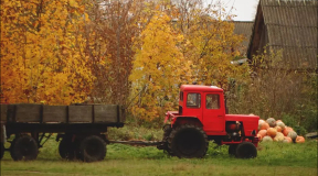 Чалый: «Представляю себе эту «игру в бутылочку»: на кого покажет палец прокурора случайным образом — тех и садим в тюрьму»