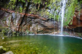 Парк Юрского периода в Европе: путеводитель по левадам, садам и безумству инженеров